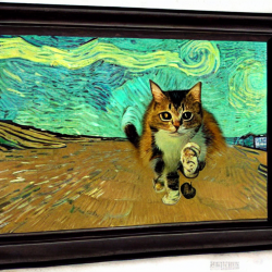 Lovely_Cat_generated_per_stable_diffusion