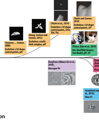 closedloopneurohistorytimeline-04.png